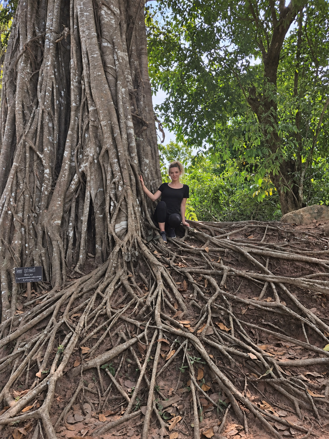 Aurélie assise au pied d'un grand arbre, entourée de ses racines.